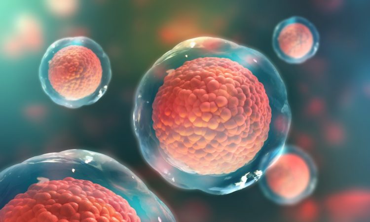 7 Interesting Uses of Stem Cell Treatments